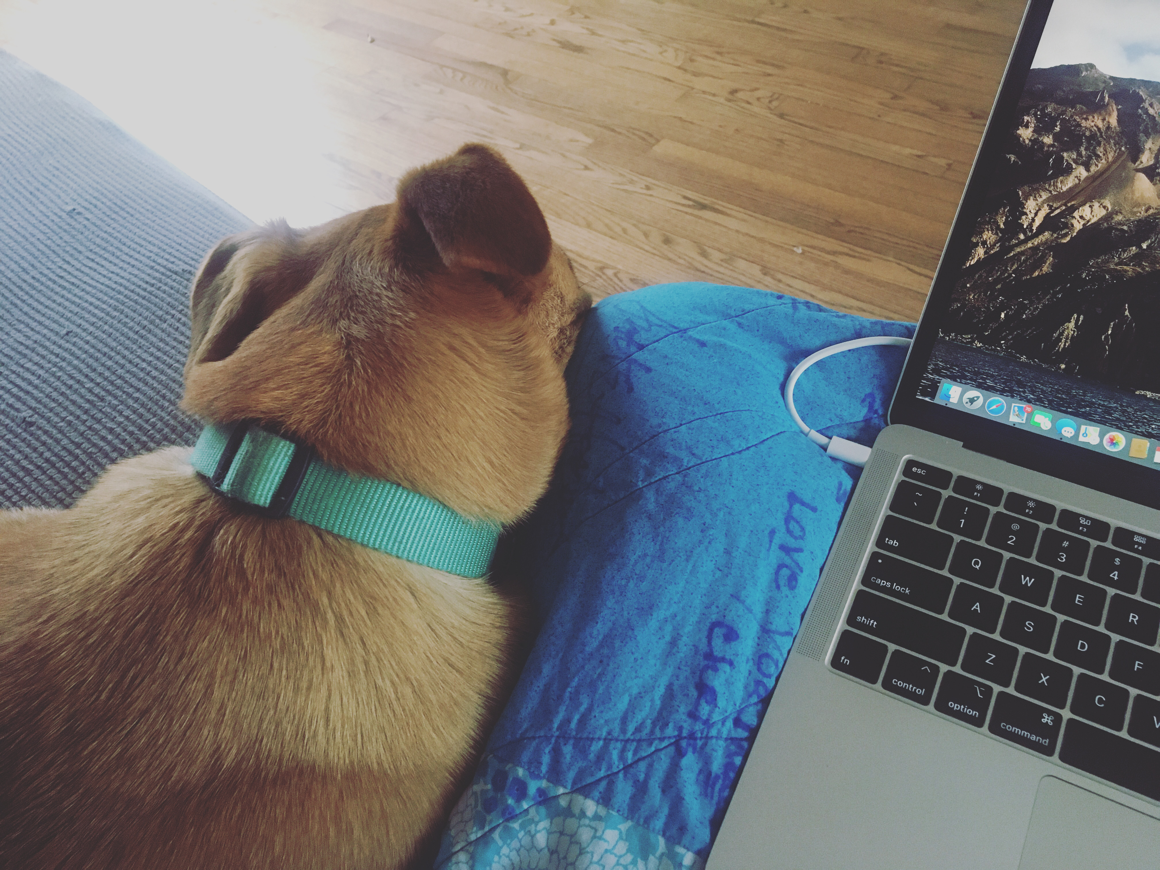 39F06E73-C1BC-434F-BE31-7E0C8B6DD7A9